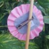 Pinza 9